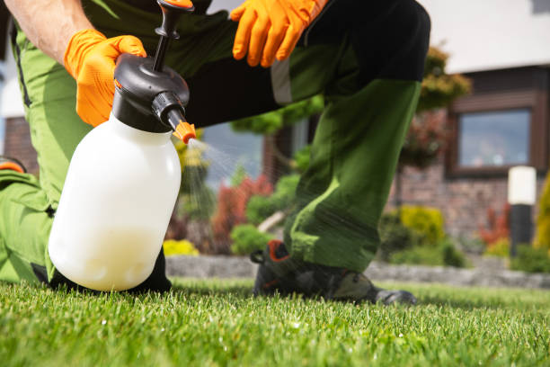 Best Pest Prevention Services  in Lmer Heights, PA